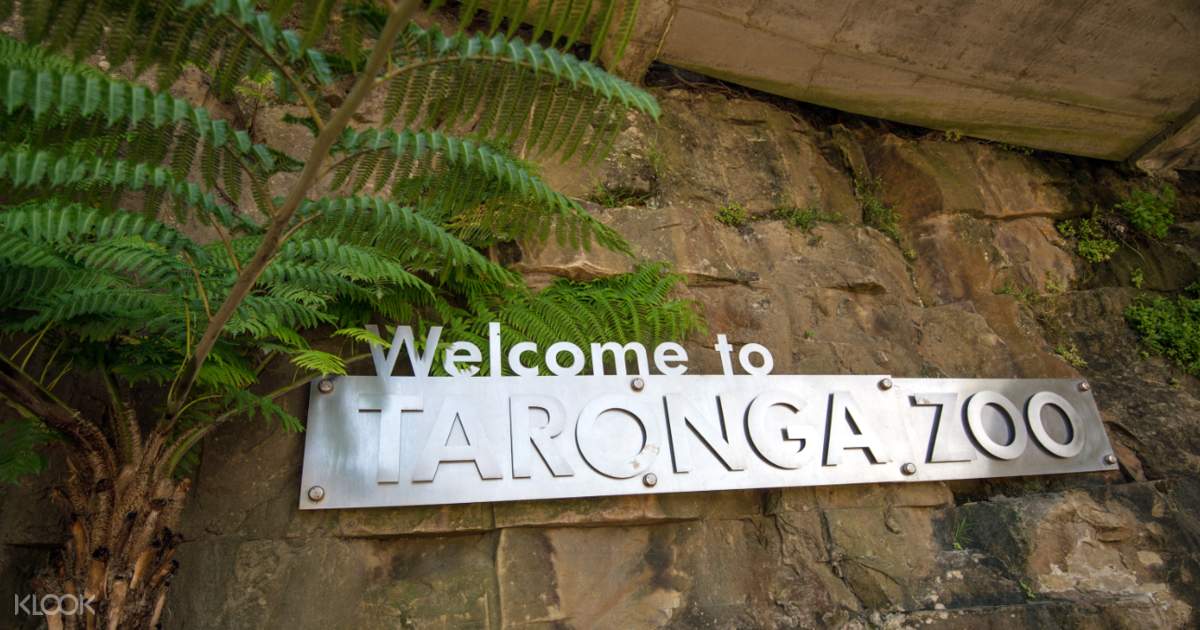 Taronga Zoo Entry Ticket Klook